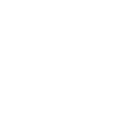 Icon Microcheck