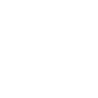 Badge icon
